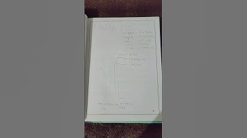 how to write zoology record/+1,+2#practicalexam #biologyclass12 #recordbook #zoology #labmanual