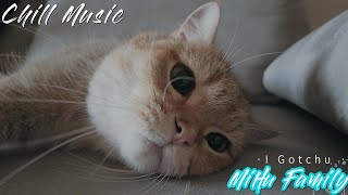 [Chillout with kittens] Gugulu means Google Chill Music, Background, Work, Sleep