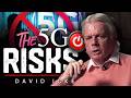 The Hidden Impact of 5G - Rose/Icke 3