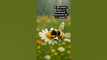 Thumbnail of #flowers #music #butterfly #cute #blooming