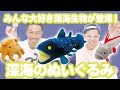 【深海魚のぬいぐるみ】ぬいぐるみシリーズ史上最大サイズ！これカプセルに入るの！？笑