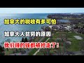 加拿大人交的税远超住房开支 加拿大人贫穷的原因找到了 我们赚的钱都被抢走了 加拿大人交的税远超住房开支 加拿大人贫穷的原因找到了 我们赚的钱都被抢走了