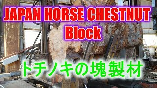 トチノキ塊製材・hose chestnut block