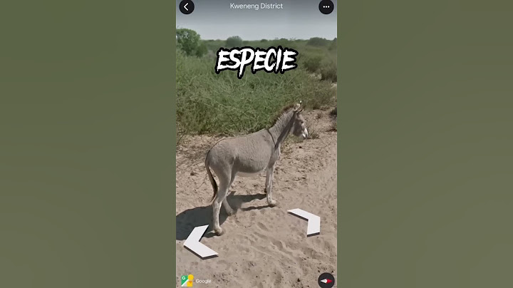 🌏 EL VIDEO MAS GRACIOSO DE GOOGLE MAPS