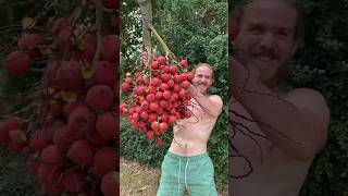 The Deadliest Fruit In The World screenshot 5