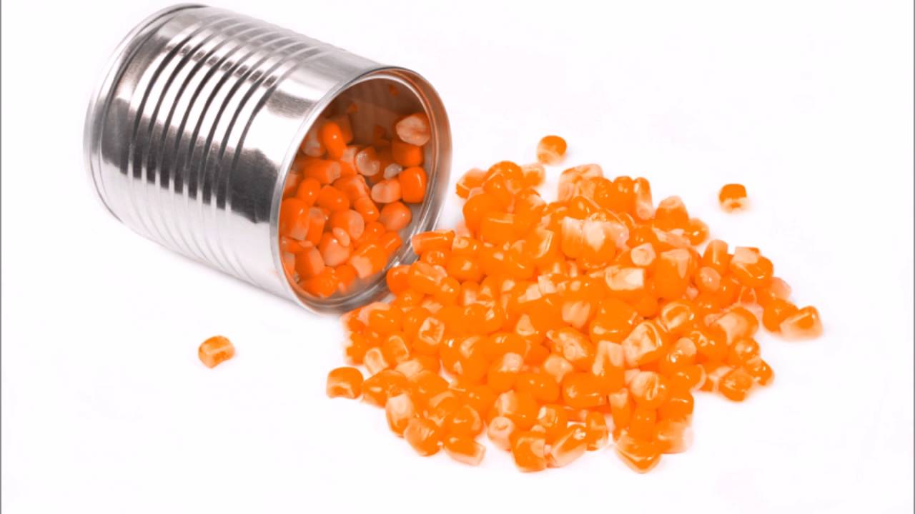 Kevin Macleod The Cannery G Major