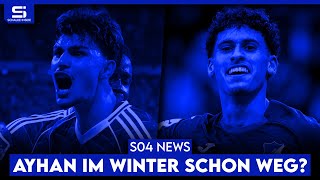 Geldregen Durch Ayhan? Kommt Amaimouni Von Hoffenheim? Update Zu Waem, Bazdar & Lüftl S04 News