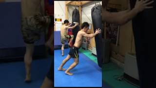 2017051104 toellgym.com