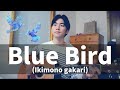 Blue Bird (Ikimono gakari) Cover【Japanese Pop Music】