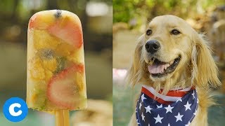 DIY Bone Broth Pupsicle Treats for Dogs | Chewy