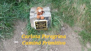 Camino Primitivo, Etapa 5, Colinas de Arriba - Berducedo, por Hospitales, 8 Junio del 2025.