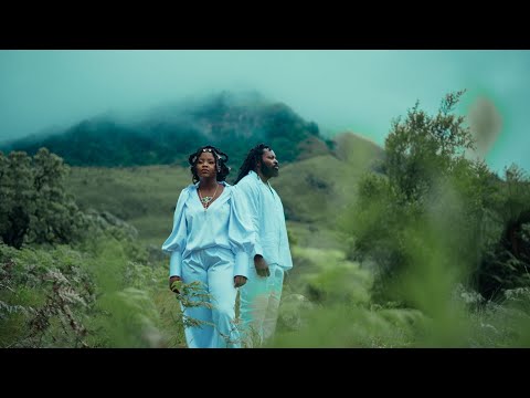 Inkabi Ne Nkabikazi Ft Diary Skillz S Yaz Siyizoni Official Music Video