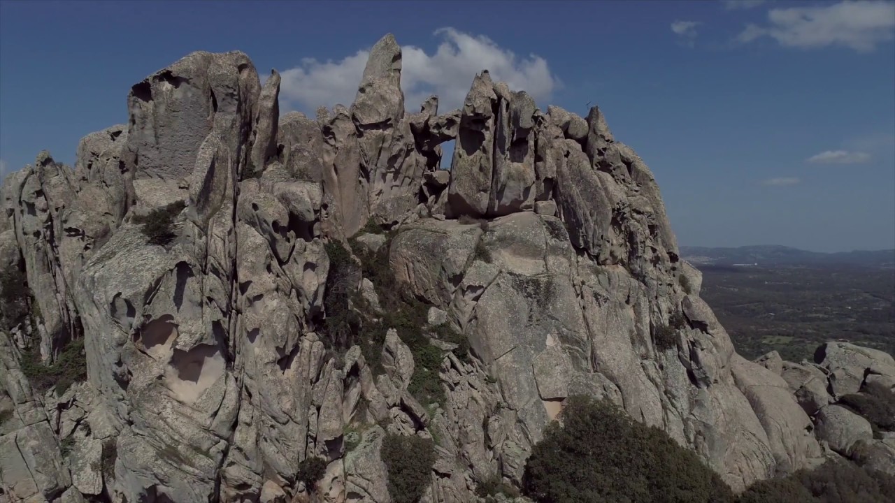 Leonardo Di Caprisonne: Bergmoney