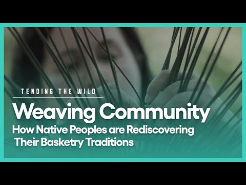 Video: Beargrass Yucca Thông tin: Chăm sóc Beargrass Yucca trong cảnh quan