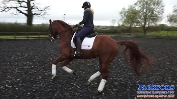 Canter Pirouette Preparation Exercise | Jacksons Fencing