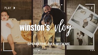 Winston the Mastiff's First Time Vlogging | The Giant Dog Series by The Emans 848 views 4 months ago 4 minutes