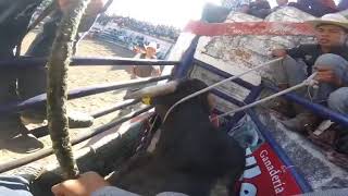 Tony Ramírez GTO