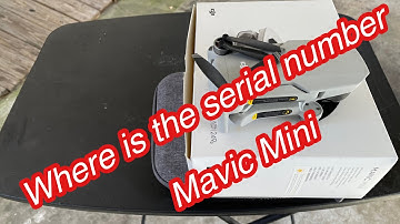 How to find Serial Number —Mavic Mini