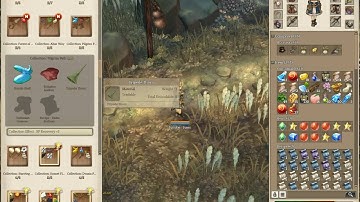 Tree of Savior - Pilgrim Path (Collection Chest, Monster)