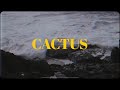 Raste  cactus official prod by joseph x jonas