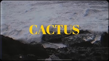 Raste - Cactus (Official video) Prod by Joseph x Jonas