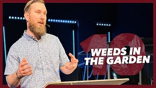 Weeds In The Garden :: God's Top Ten pt4