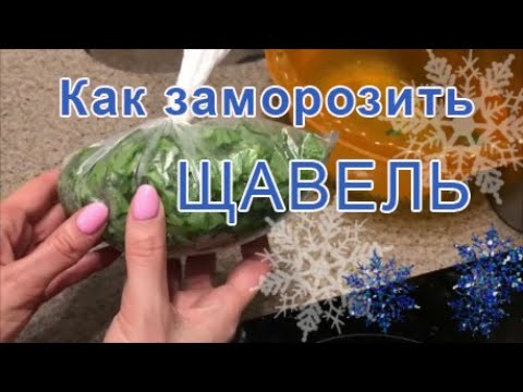 Как заморозить щавель на зиму. Заморозка щавля в домашних условиях