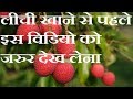 लीची खाने से पहले ये विडियो जरुर देख ले