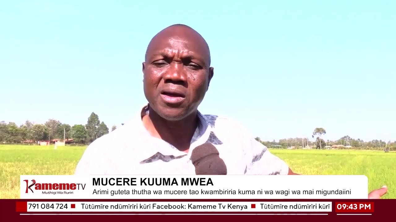 #MutamburukoWaMohoro