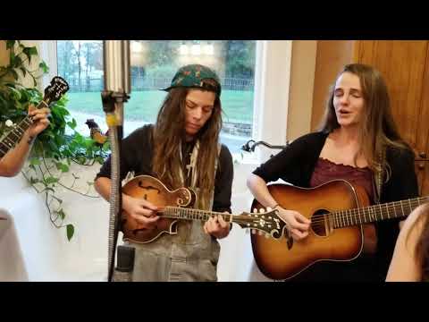 Mama Said String Band - Somebody Anybody (Bathroom Sessions)
