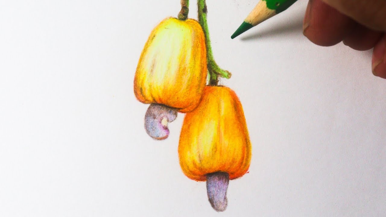 Como desenhar Caju amarelo - YouTube
