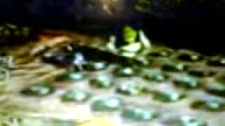 shrek parody dvaja debili