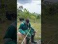 Ayahaku"kalau kau tk dapat kerja kat IJN Mat, kau kerja potong rumput uruskan kebun durian aku je".