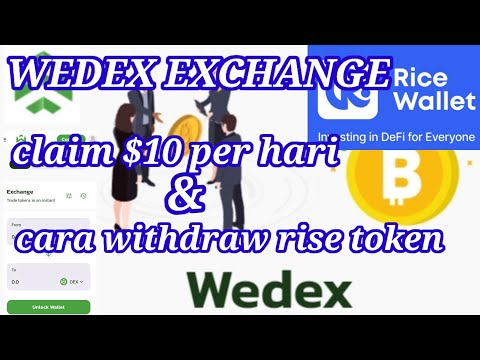 Airdrop gratis wedex exchange claim $10 perhari || update rise wallet