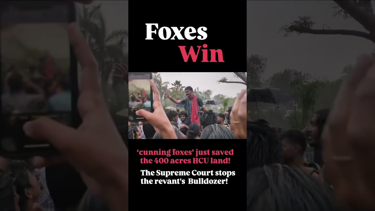 FOXES WIN ✊  The  cunning foxes  just saved the 400 HCU land 