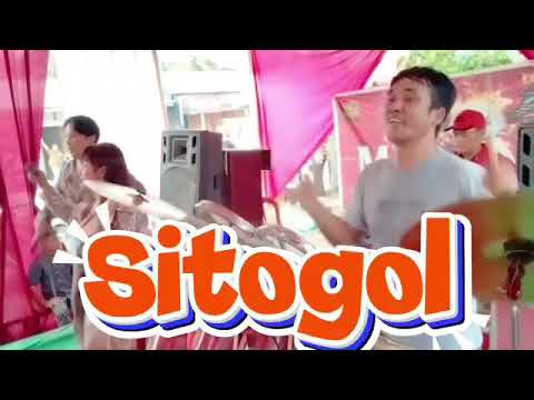 Sitogol lagu Batak populer #lagubatakpopuler #pestaadatnikahbatak #lagubatakterbaru 