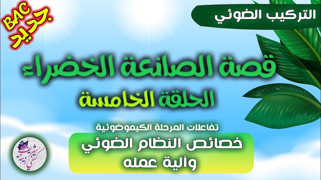 أصعب حلقة😵اذا فهمتها بصحتك😉 محال تستغنى على هذه المعلومات|الحلقة 5 من التركيب الضوئي|بكالوريا