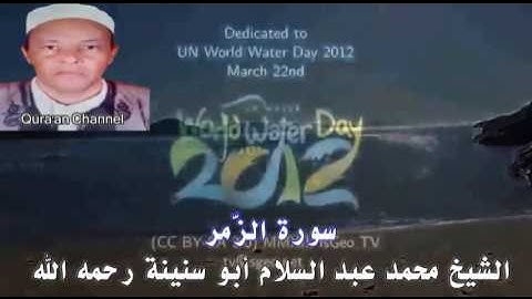 سورة الزّمر  محمد أبو سنينة برواية قالون