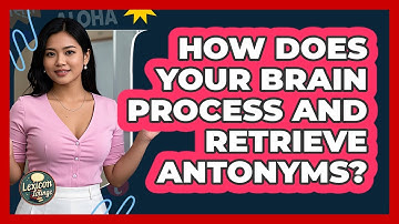 How Does Your Brain Process And Retrieve Antonyms? - Lexicon Lounge