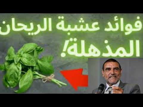 تعرف على عشبة الريحان فوائد لا توصف مع الدكتور محمد الفايد