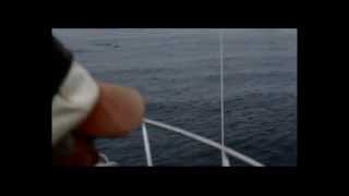 Tuna Fishing off Bicheno 7th May 2013