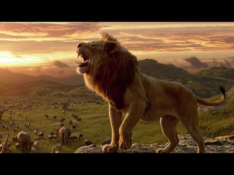 circle of life lyrics lion king