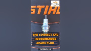 What Spark Plug Does A Stihl MS290 Chainsaw Take? The Answer!