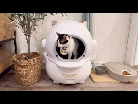 5 secretos ocultos del revolucionario arenero autolimpiable para gatos -  UNBOXING 