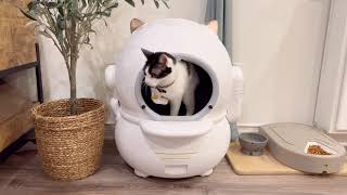 AngolShiold Automatic Cat Litter Box Review