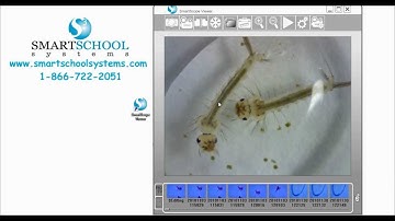 SmartMicroScope Viewer Software Basics