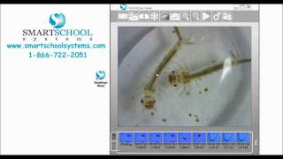 SmartMicroScope Viewer Software Basics