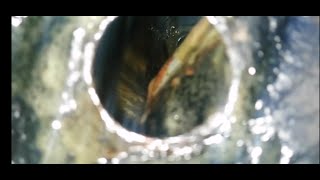 видео: АНТИКОР внутри ПОРОГОВ Hyundai Accent ТАГАЗ. картинка: АНТИКОР внутри ПОРОГОВ Hyundai Accent ТАГАЗ.