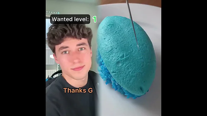 POV Everyone has a wanted level 1-5, 5 being the most aggressive…PT.2