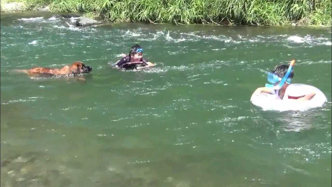 釜ヶ淵公園 20130728 YouTube